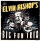 Elvin Bishop's Big Fun Trio
