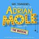 The secret diary of Adrian Mole aged 13 3/4: The musical (Original London Cast)