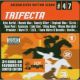Greensleeves rhythm album #47. Trifecta