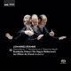 Serenade no.1. Variations on a Theme by Haydn