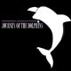 Instrumental sounds of nature: Journey of the dolphins