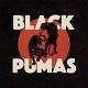 Black Pumas (softpack)