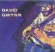 David Gwynn