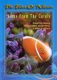 Vibes from the corals: the tales of the nature