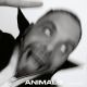 Animals (clear vinyl)